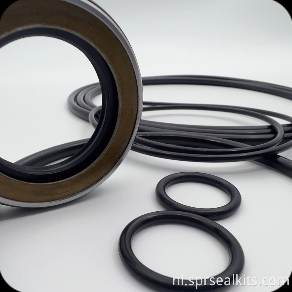 62 Swing Motor Seal Kit